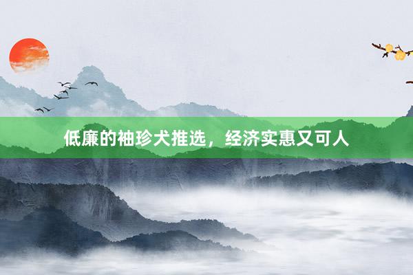 低廉的袖珍犬推选，经济实惠又可人
